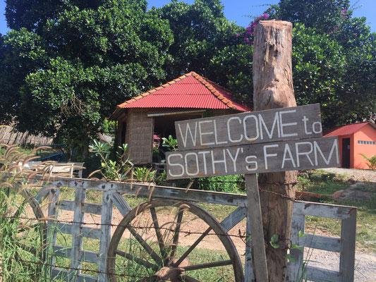 Welcome To The Pepper Farm