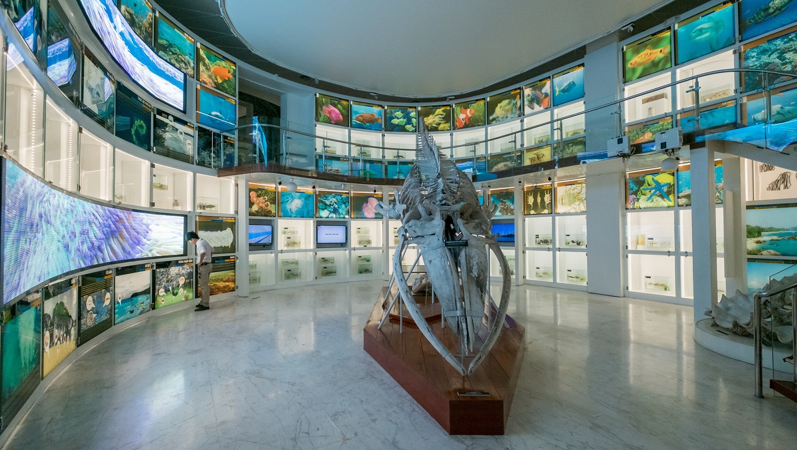 First Floor display in Quang Ninh Museum