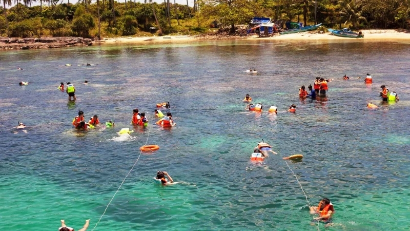 Snorkeling to see coral at Ky Lan Cape