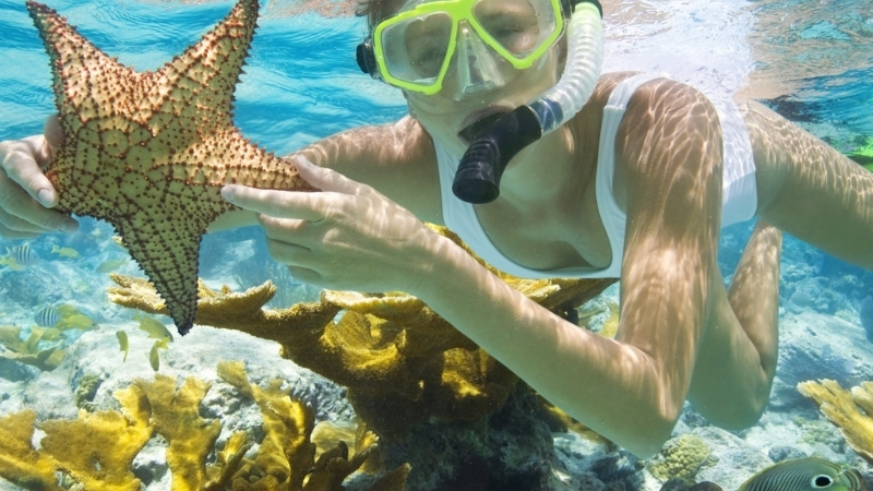 Snorkelling & scuba diving
