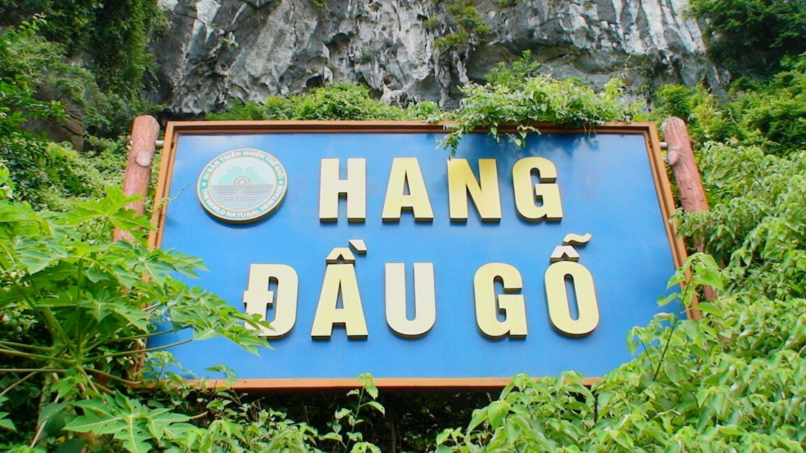 The entrance to the cave