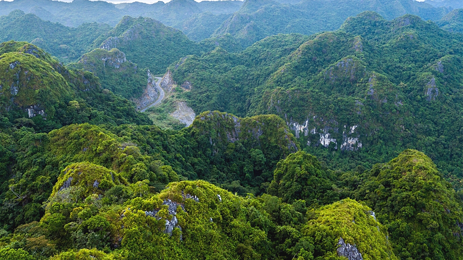 Breathtaking scenery in Cat Ba National Park