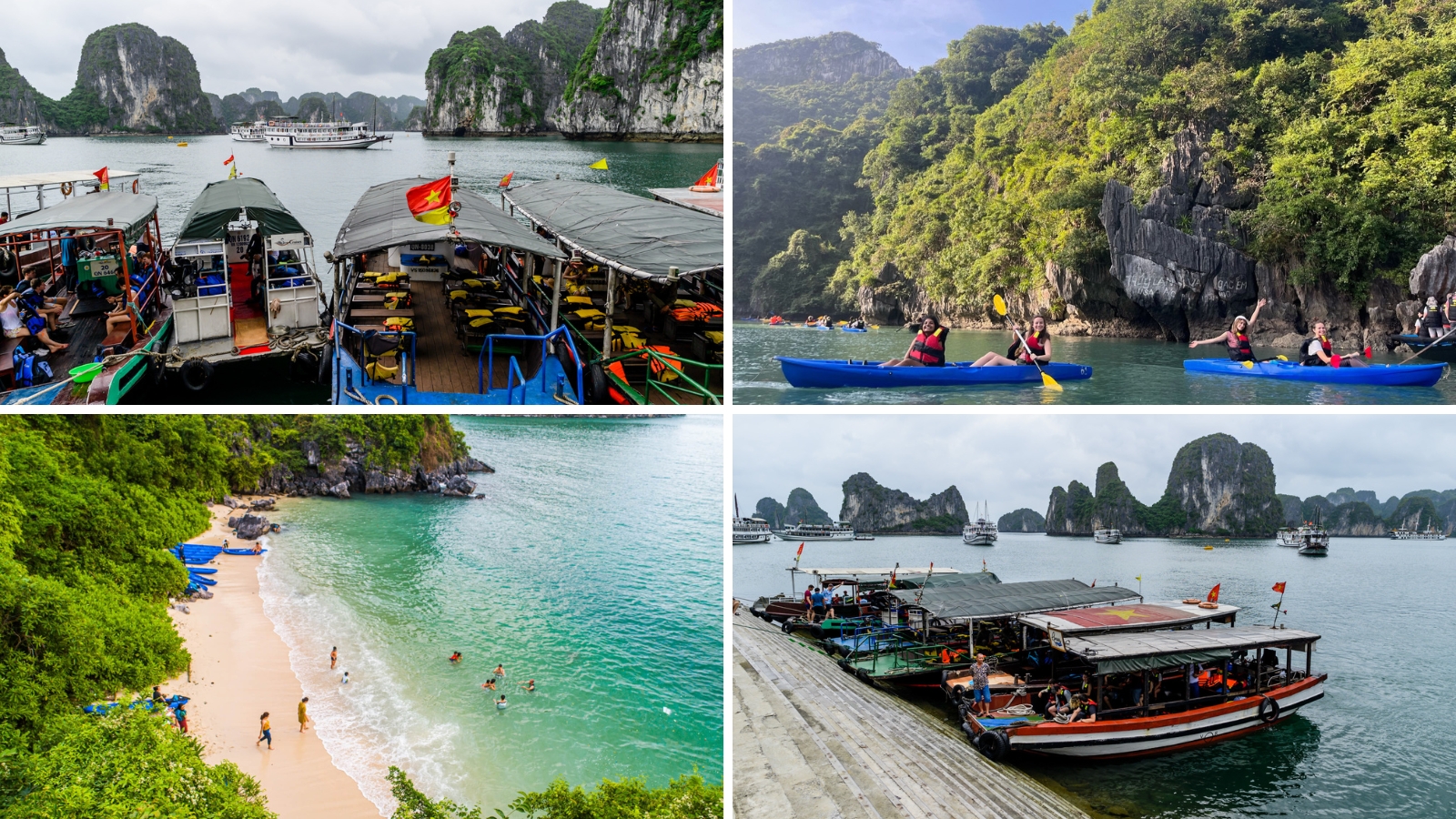 Participate In Various Interesting Activities