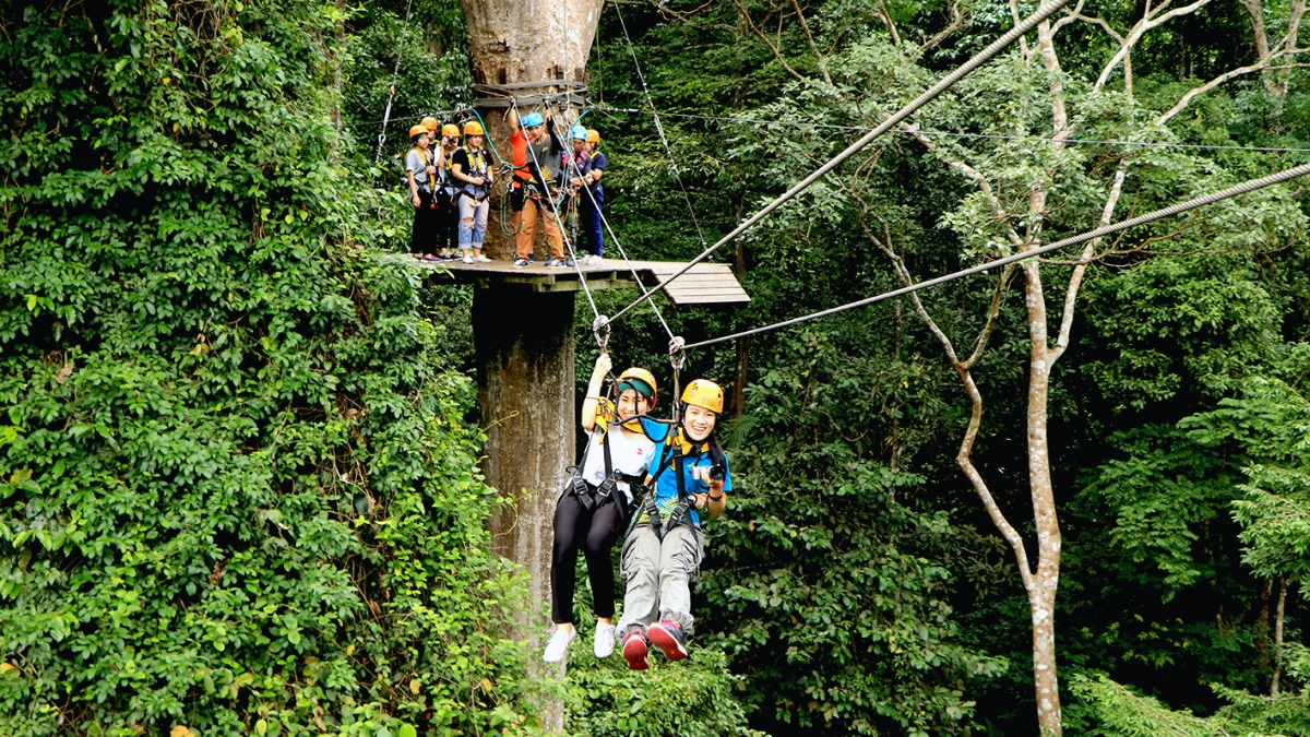 Eco Zipline In Flight Of The Gibbon
