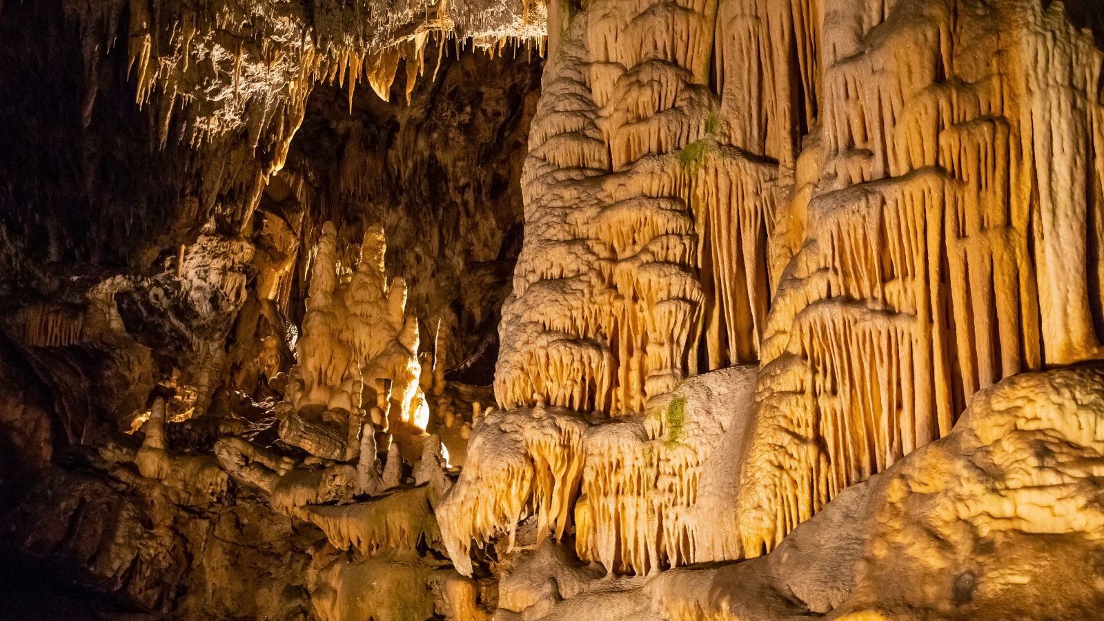 Sung Sot Cave will definitely feast your eyes on stunning karst formations.&nbsp;