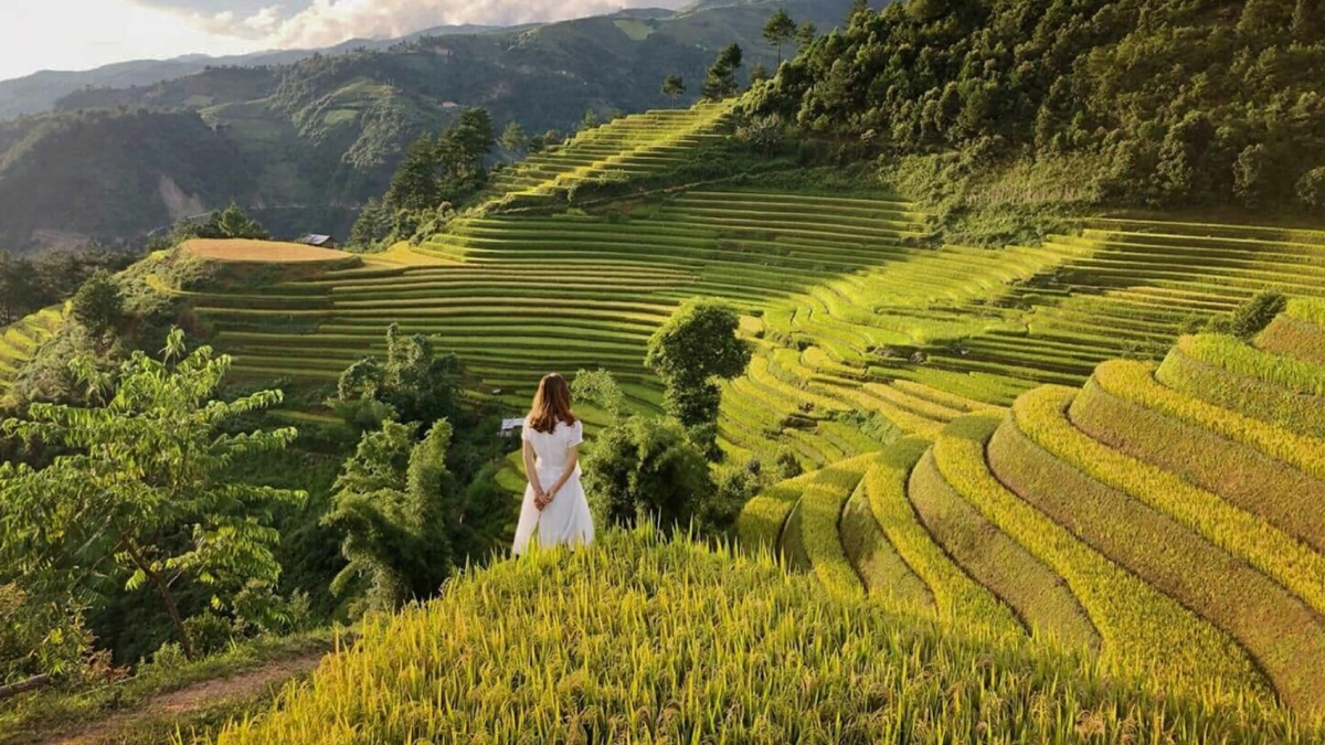 Grasp Most Beautiful Scenery In Lim Mong Village