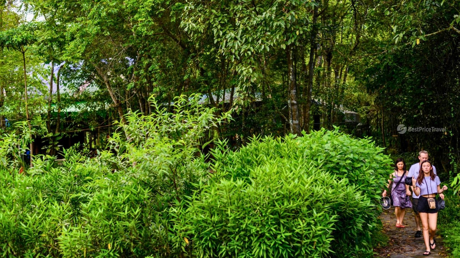 In addition to geological values, Trung Trang Cave gives the best natural atmosphere.