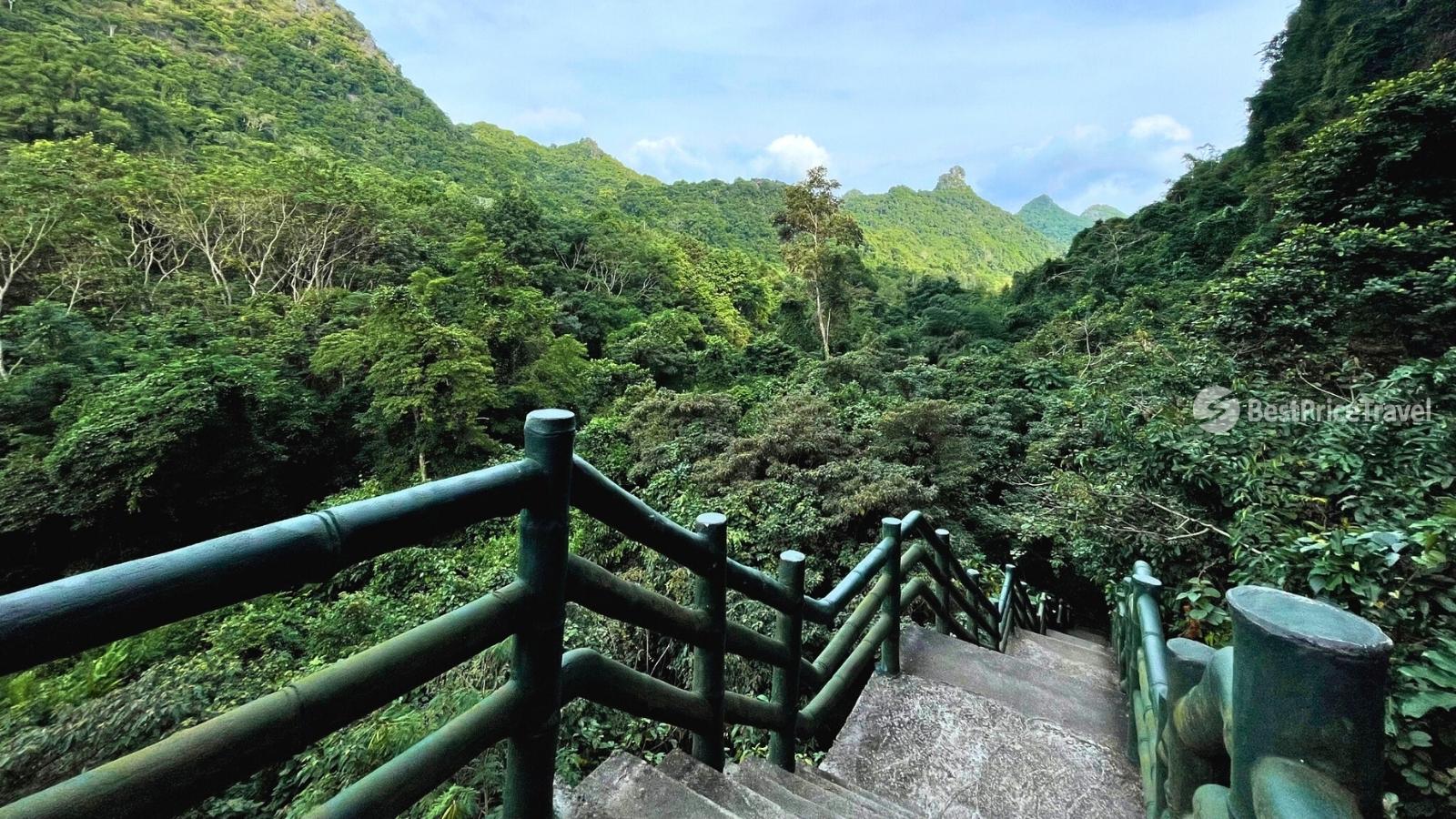 The fantastic road leads to the entrance of Trung Trang Cave.