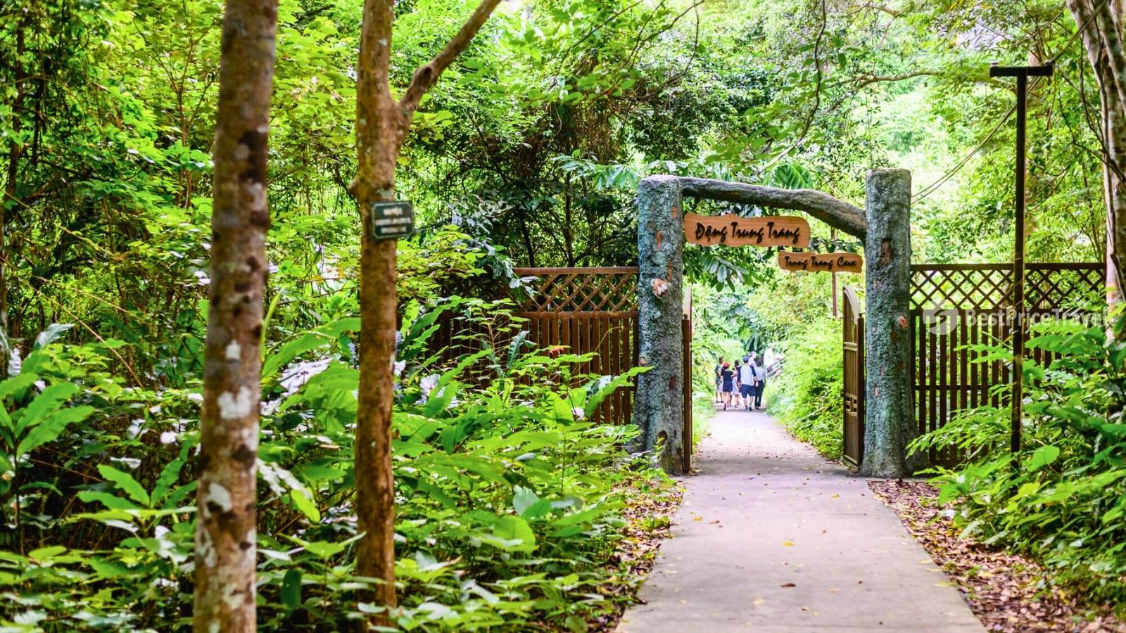 An expedition to Trung Trang Cave - one of the largest historic caves in Vietnam