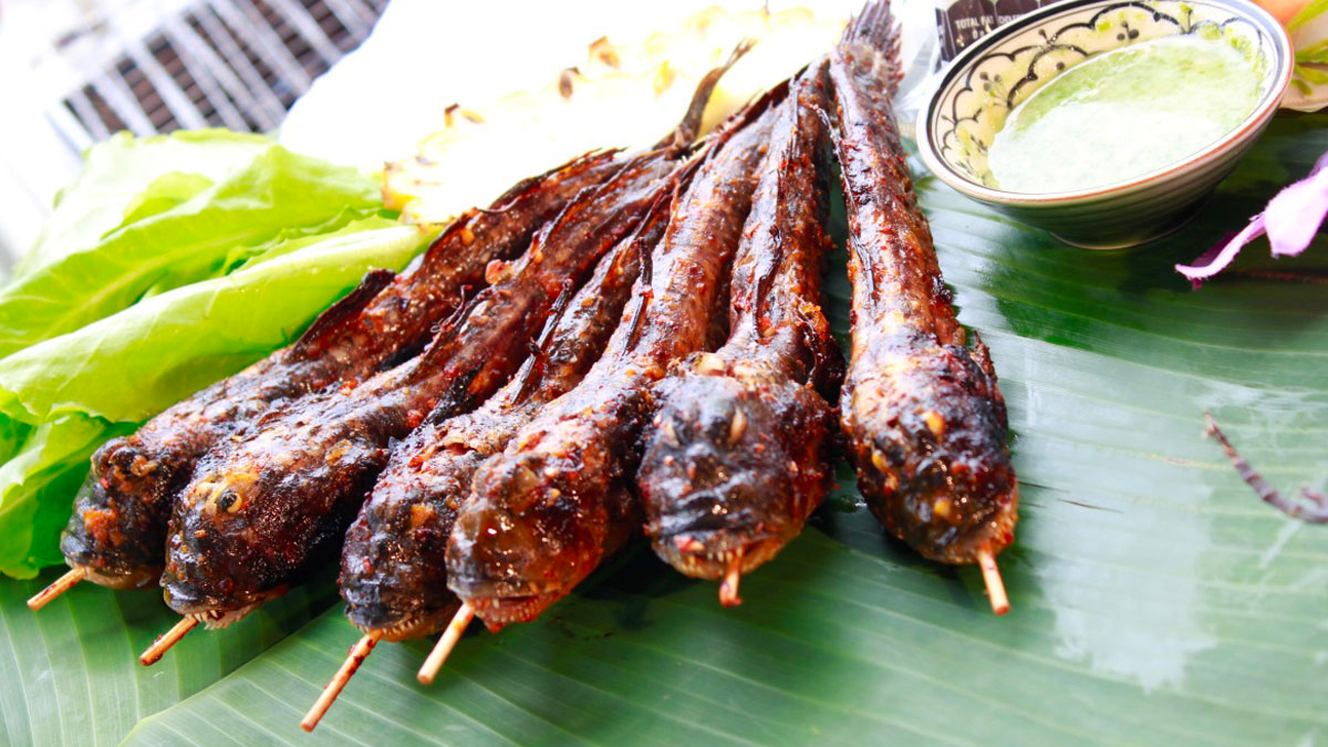 Mudskipper A Strange Kind Of Fish But Taste Very Sweet