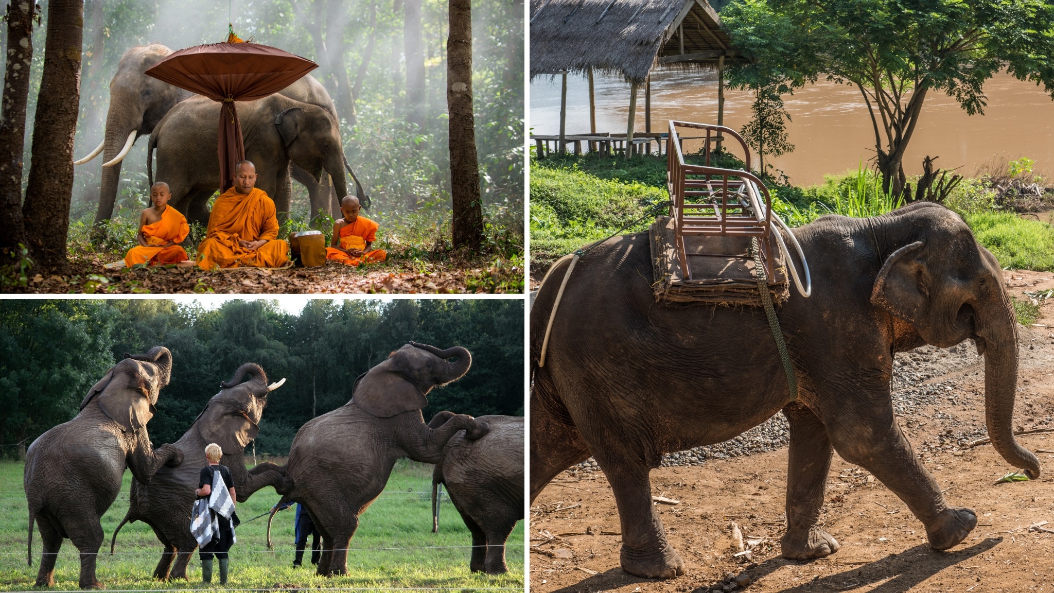 Recreational Activities At Elephant Camp Luang Prabang