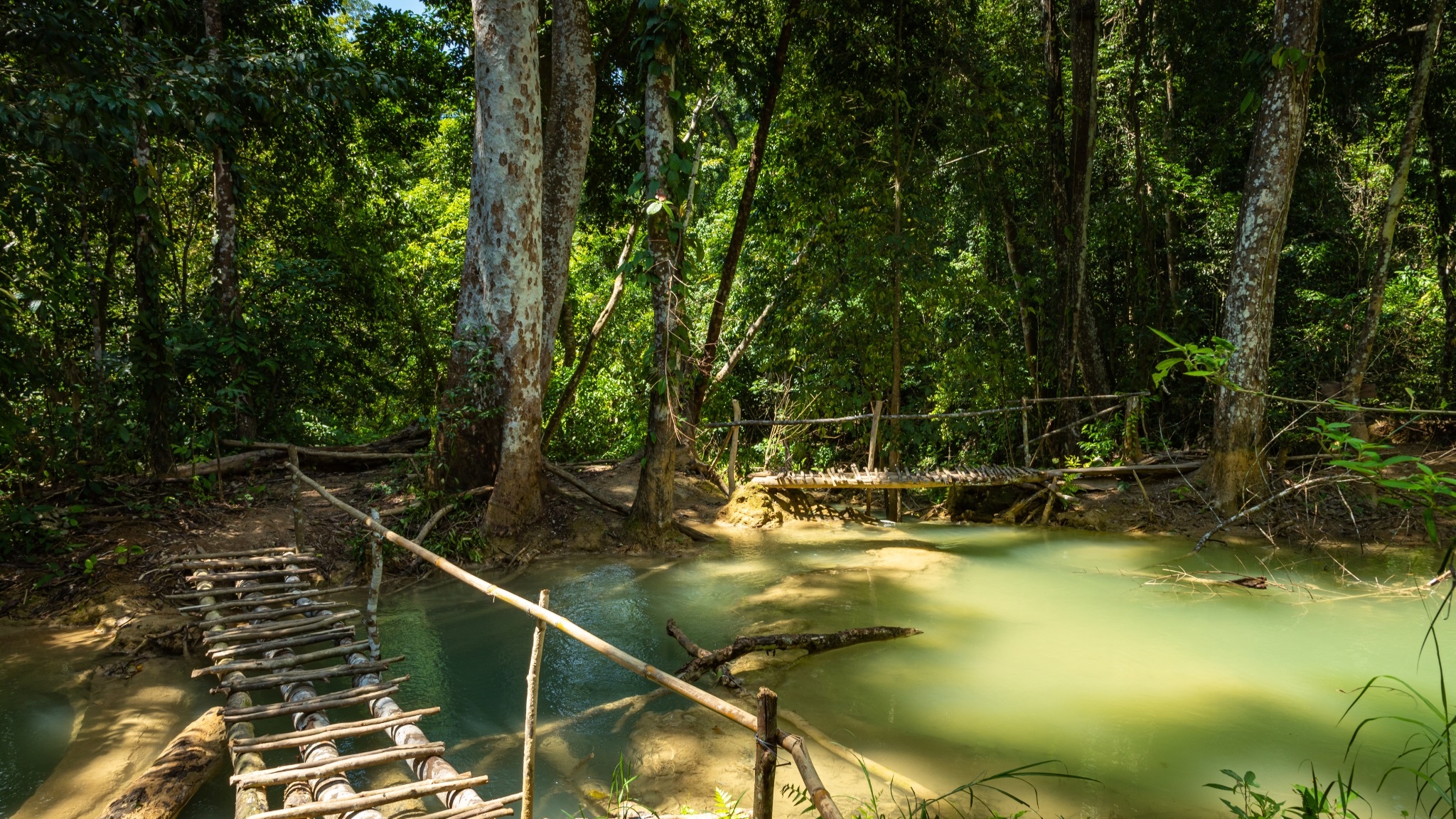 Trekking The Majestic Tad Sae Waterfalls