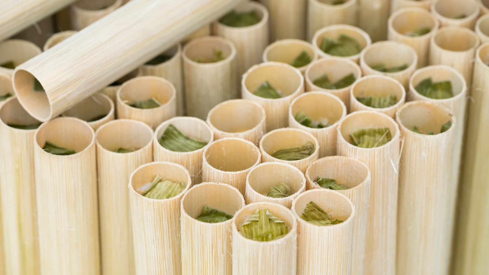 Com Lam Is Really Common In The Mountainous Region