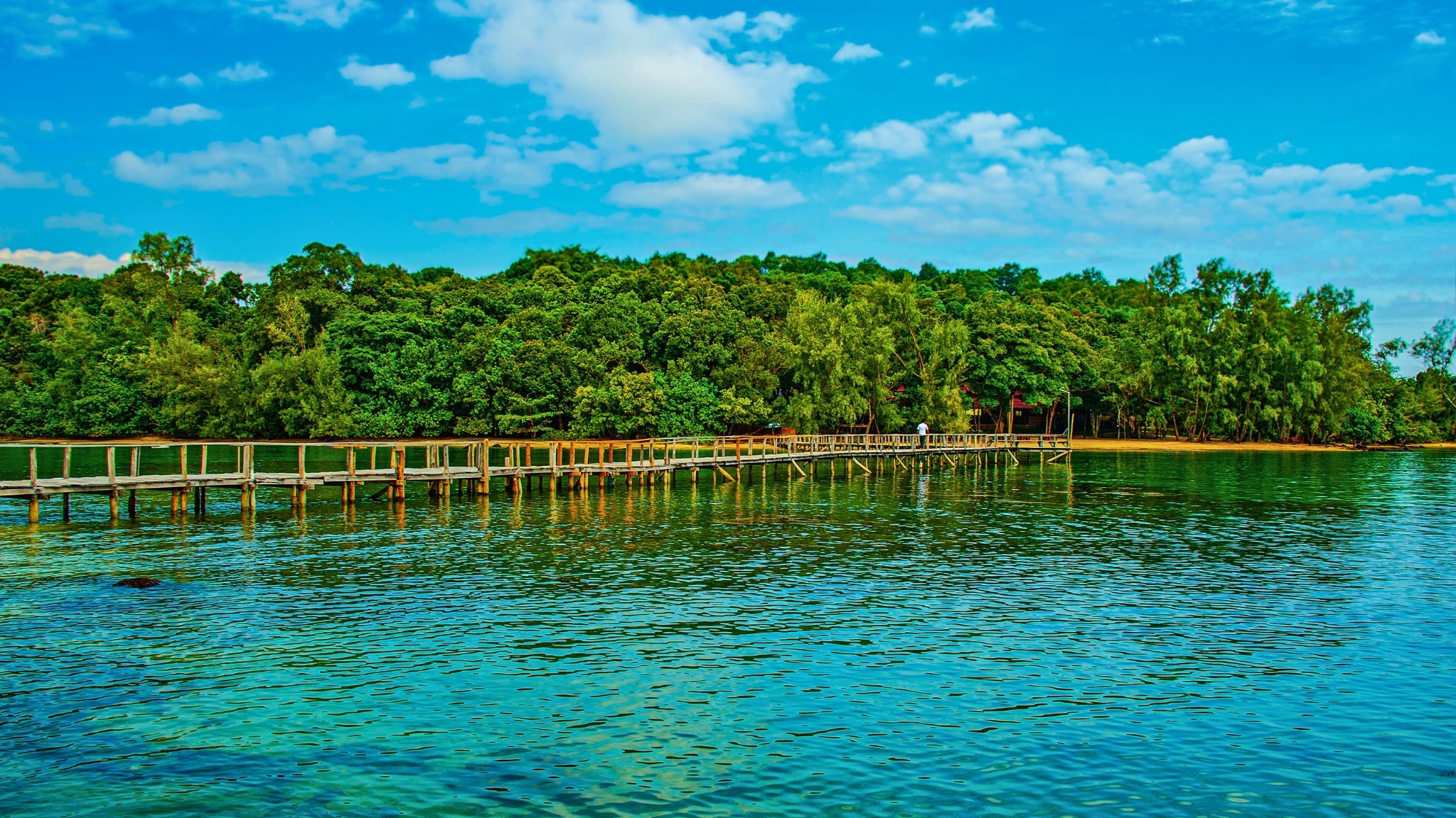 Immerse Yourself In Nature Of Ream National Park