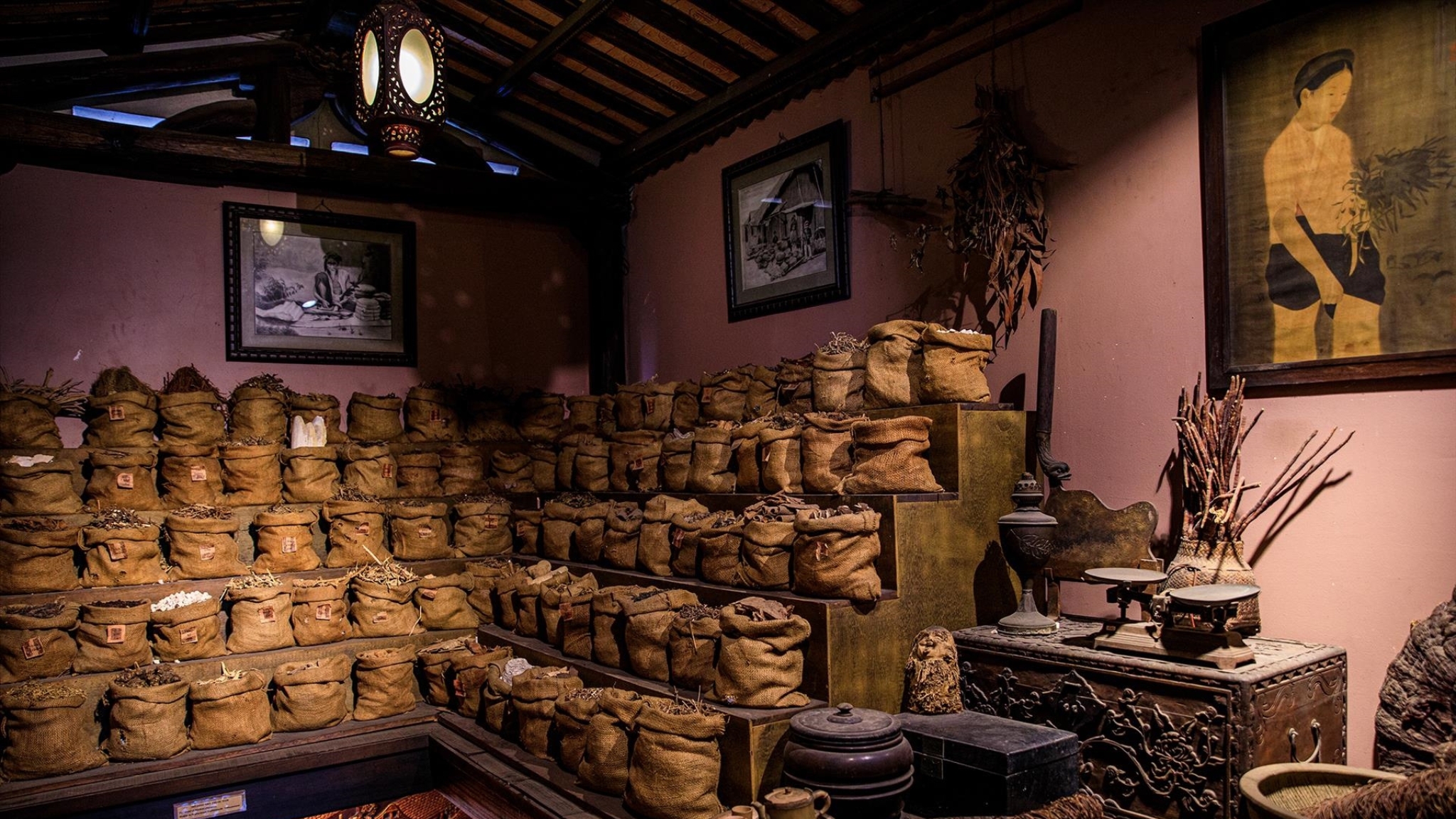 The Area Displaying Medicinal Plants (Cre Vietnam Vnanet Vn)