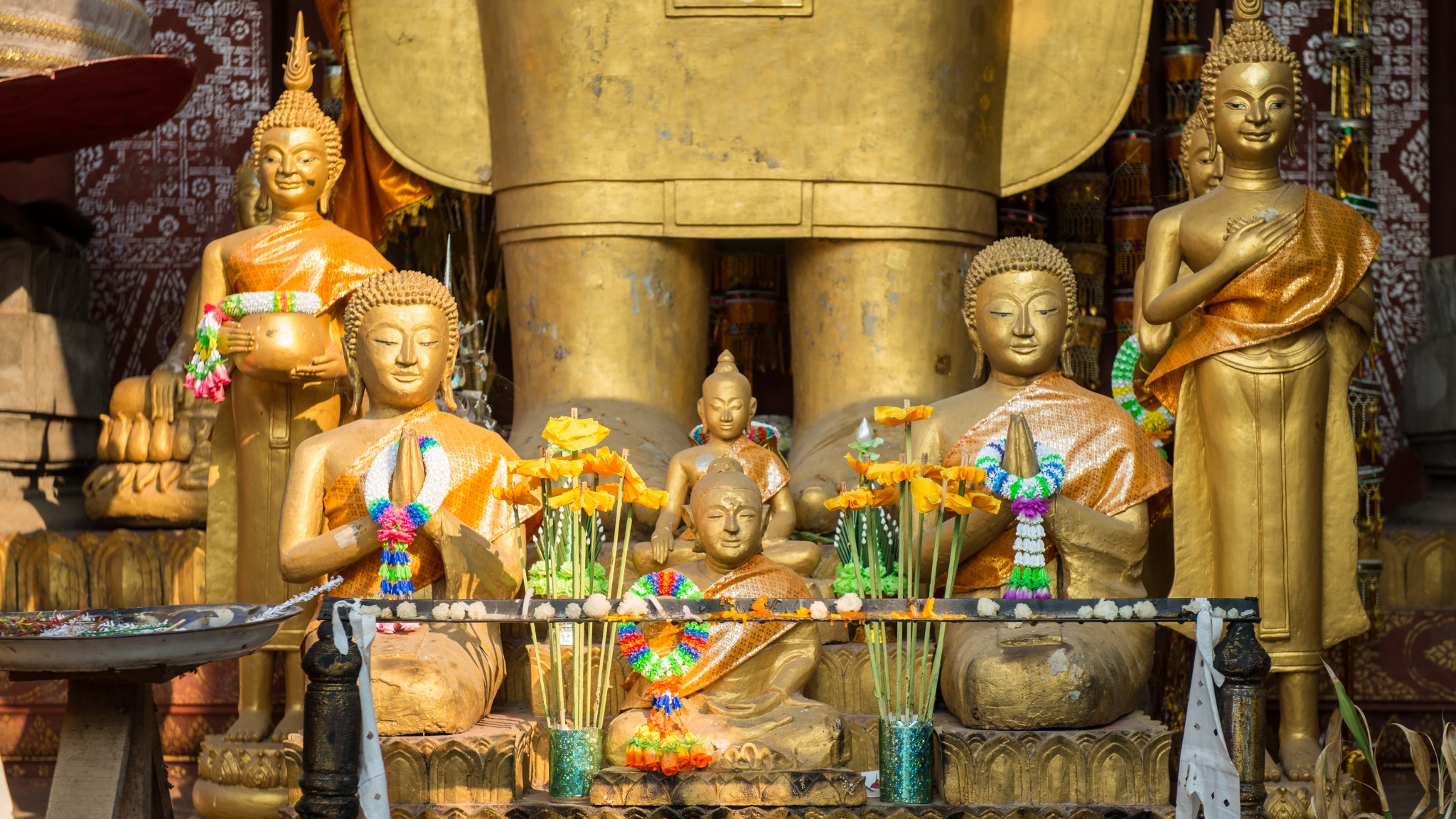 Have A Relax Moment To Stay Away From Hectic Life