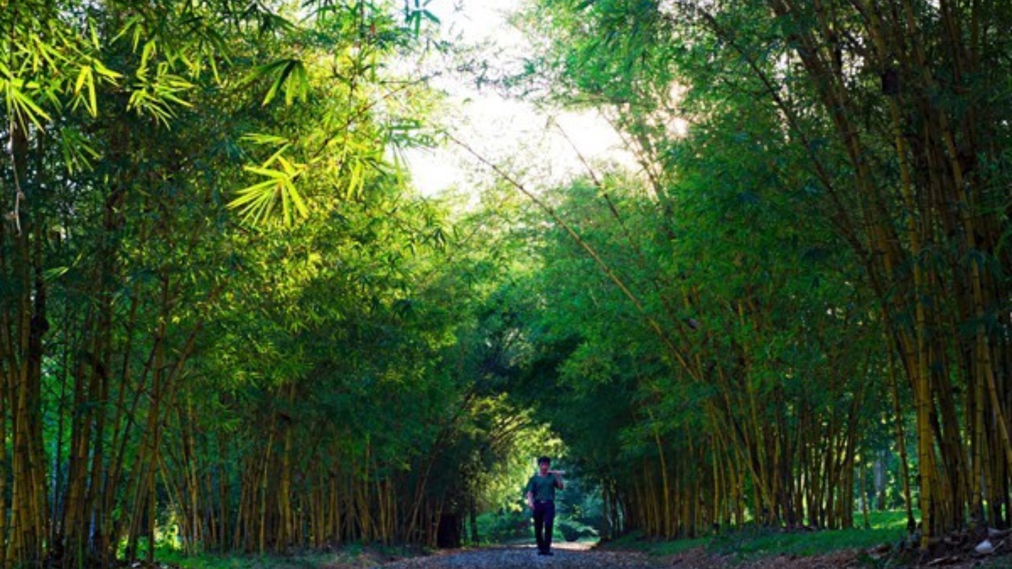 Pha Tad Ke Botanical Garden