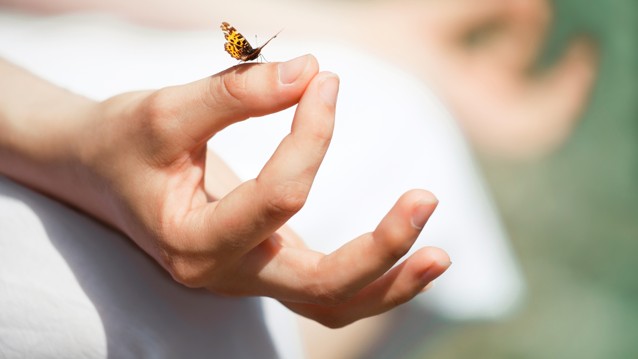 Embrace Mindfulness Through Meditation