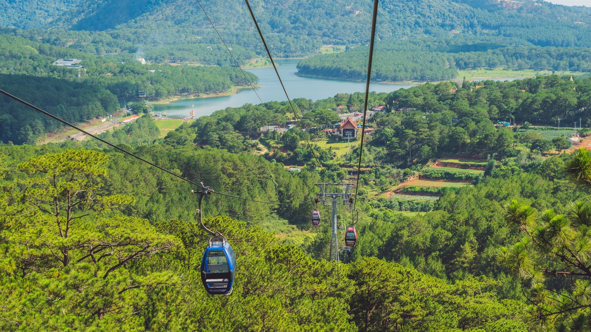 Immerse In The Beauty Of Robin Hill