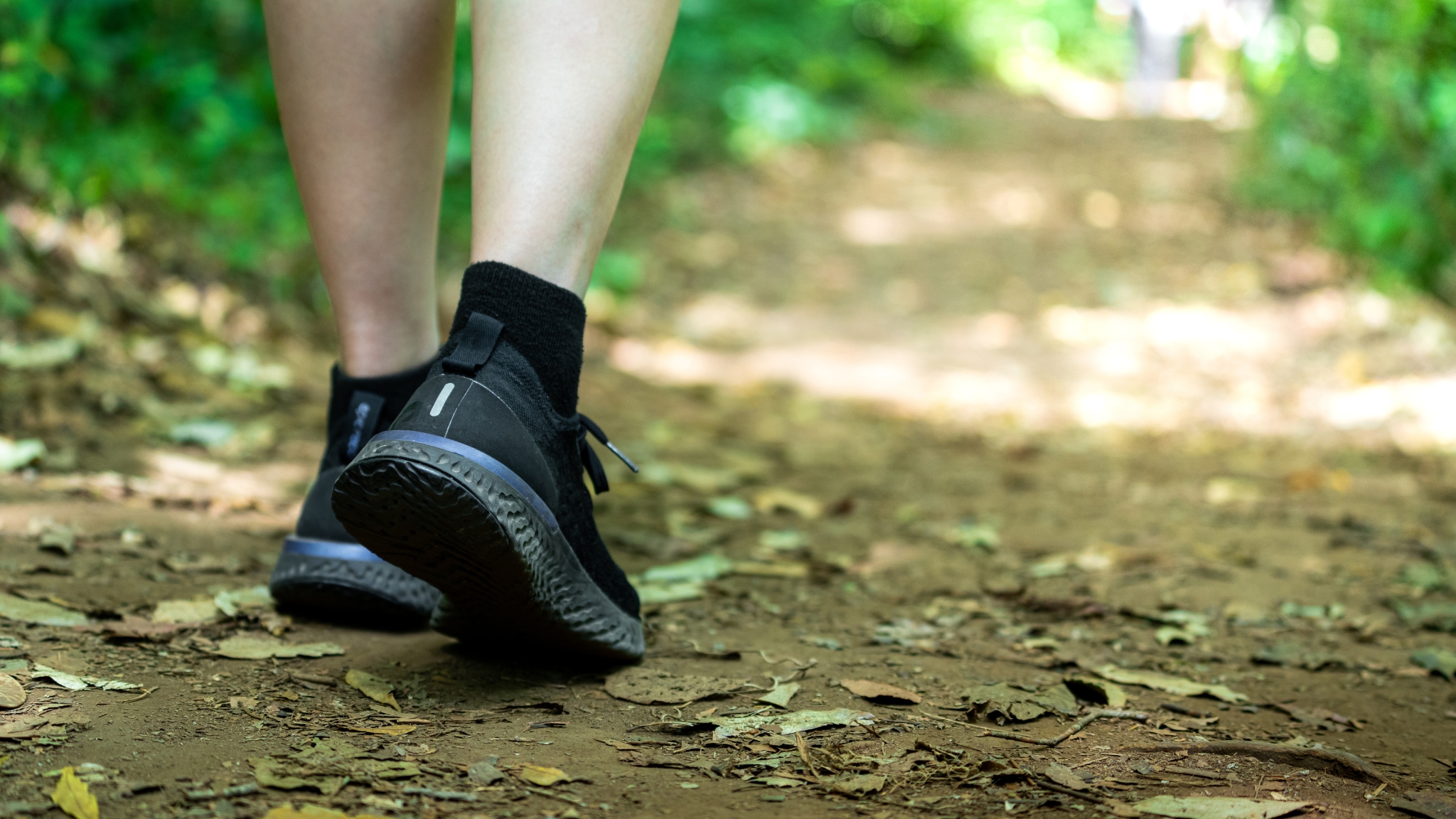 Discover Vibrant Plants And Native Wildlife Near Ban Pako