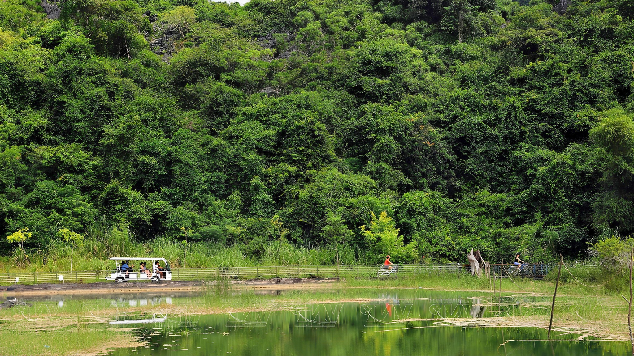 Travelers can choose to explore the unspoiled Viet Hai Village on e-carts or bicycles.