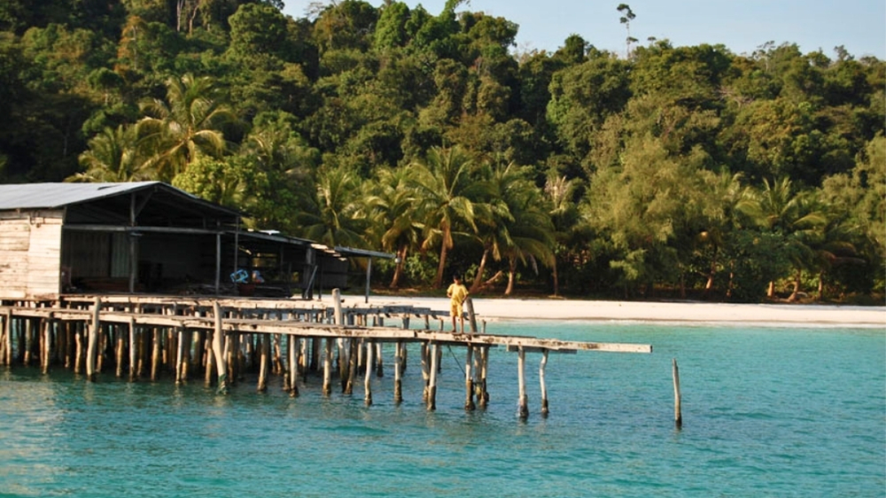 History & Development