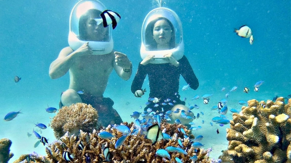 Snorkeling & Diving Tours