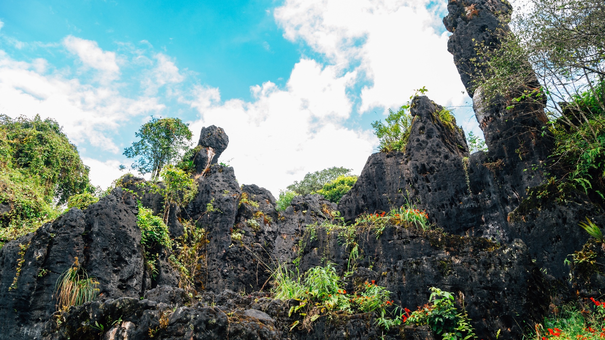 Scenic Ham Rong Mountain