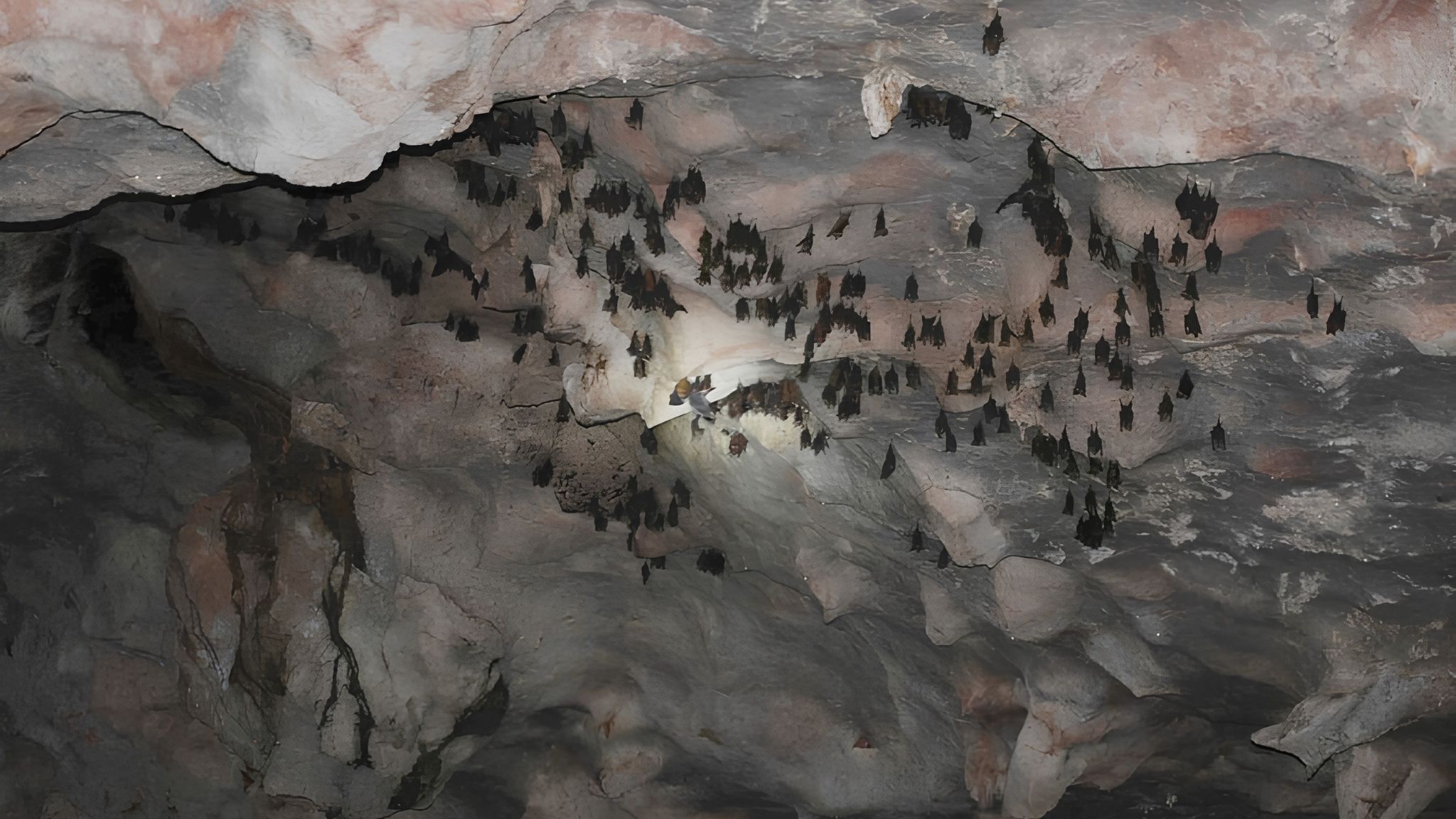 Stalactites hanging from the limestone ceiling inside Cai De Cave.