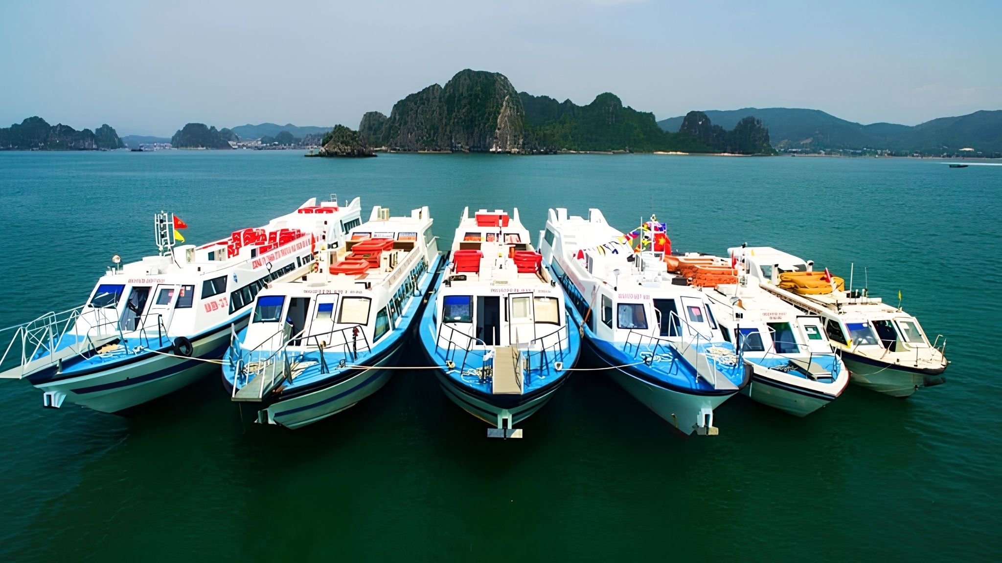 Getting to Ngoc Vung Island by High-Speed Ferry