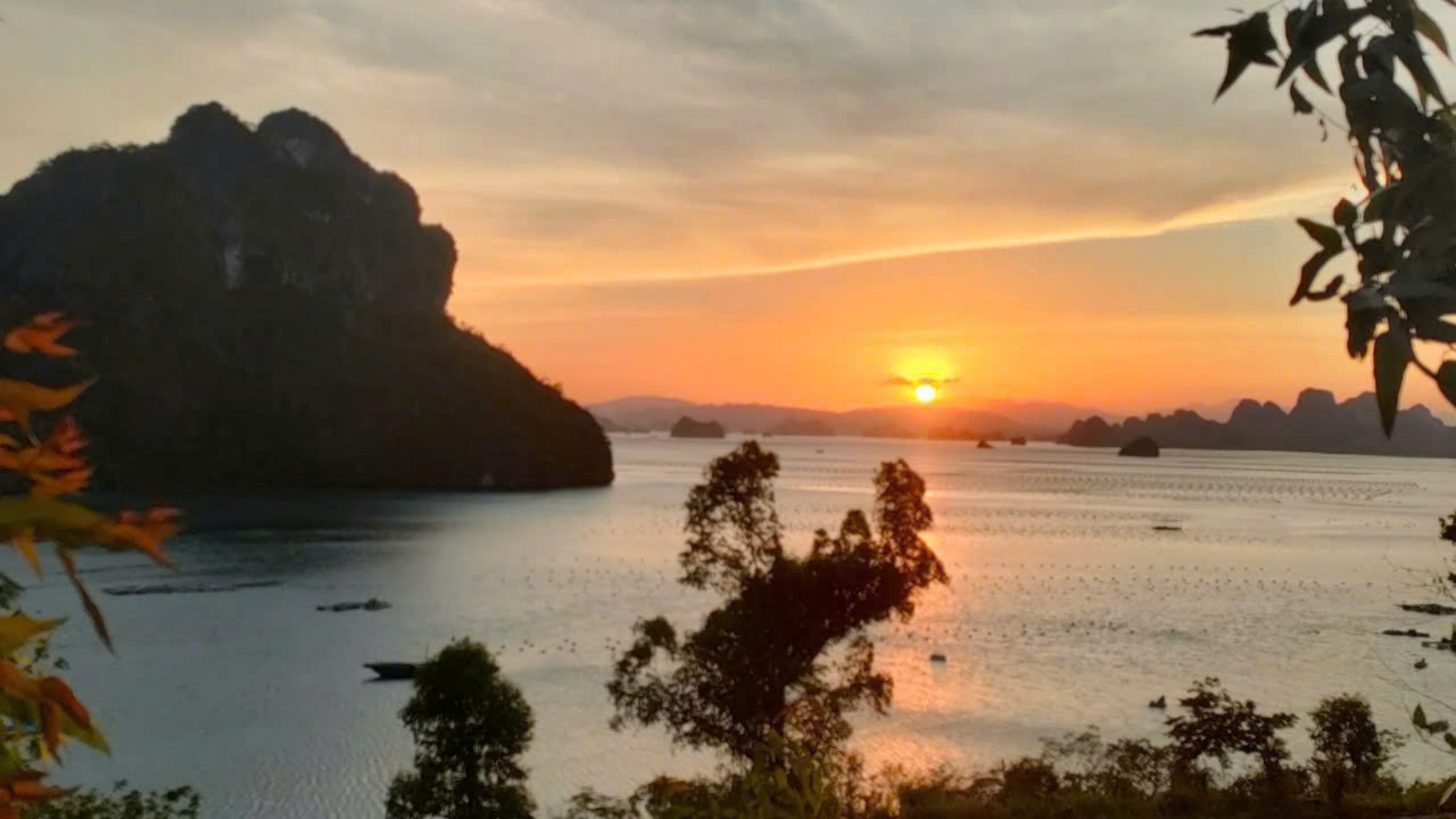 Van Don Sunsets Painting The Sea In Golden Light