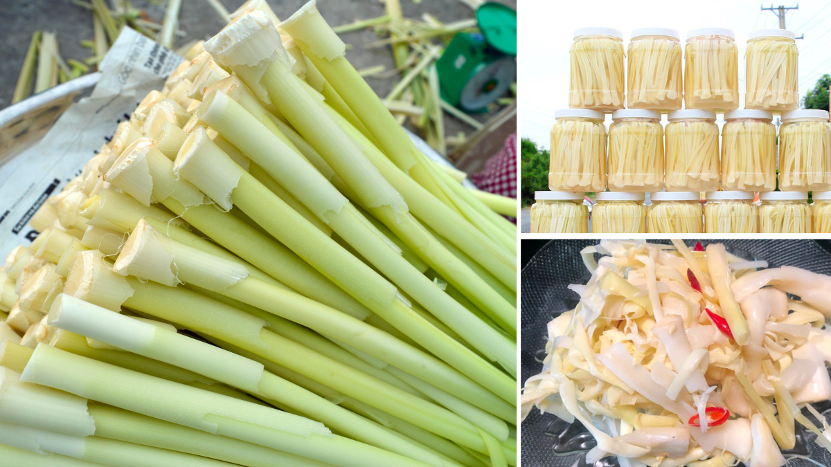 Bon Bon A Mild Taste Vegetable