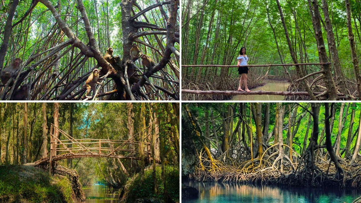 Forestry And Fishery 184 Is Conserving And Protecting Various Species Of Plants And Animals