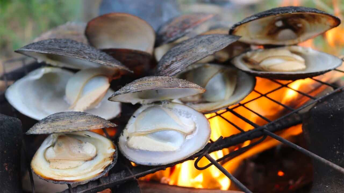 Don't Forget To Try Grilled Vop In Ca Mau