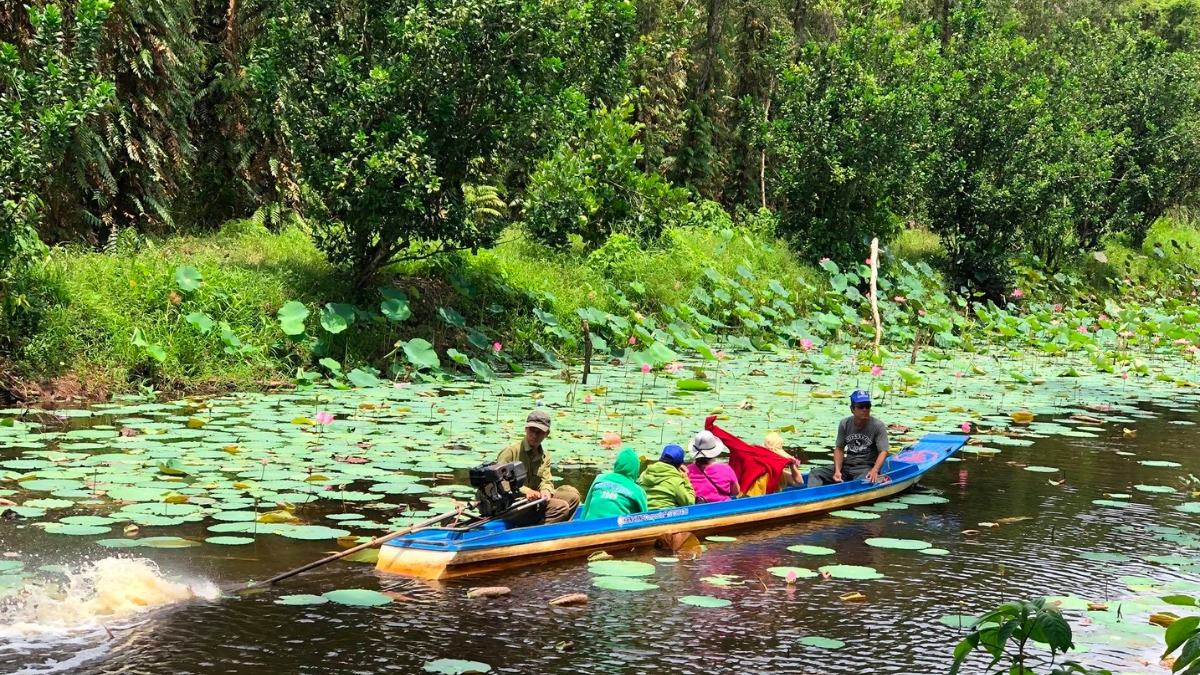 Explore The Natural Scenery Of Trem River