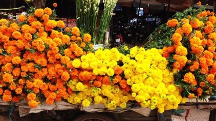 Should You Travel to Vietnam During Tet Holiday?