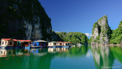 Avoiding Scams for Halong Bay Cruise