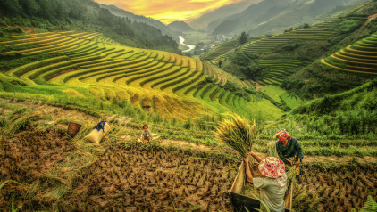 Mu Cang Chai Paragliding Festival – Flying Over Northern Vietnam Golden Terrace Fields