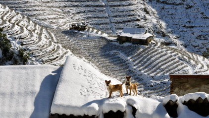 What Should You Prepare To Travel Sapa In Winter?