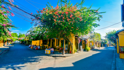 Top 5 Vietnam 10 Day Itinerary for Travelers