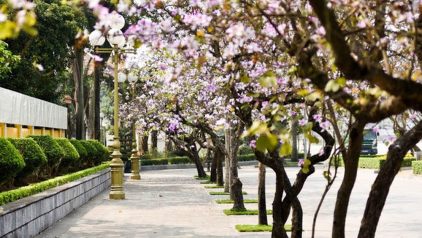 Vietnam Weather in March: Temperatures & Best Places to Visit