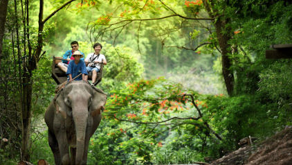 Experience of the Best 6-day Sightseeing in Thailand