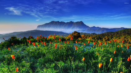 Things to Do in Thailand during Spring