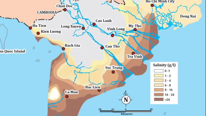 Ho Chi Minh to Mekong Delta: Absolute Guide for First time Travellers