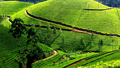 Vietnam Weather in June: Temperature & Best Places to Visit