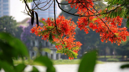 Hanoi Weather June: Temperatures & Things to Do