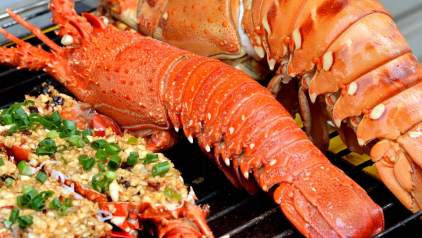 10 Best Restaurants in Cat Ba Island [Never Miss [Y]]