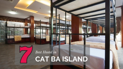 Top 7 Hostels in Cat Ba Island to Save Your Trip [Y]