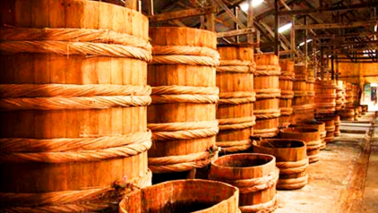Phu Quoc Fish Sauce: Complete Guide