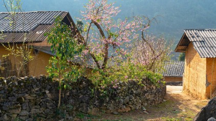 Best Time to Travel To Vietnam: Get ahead to plan for your trip this 2024/2025